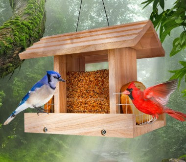 Feeders
