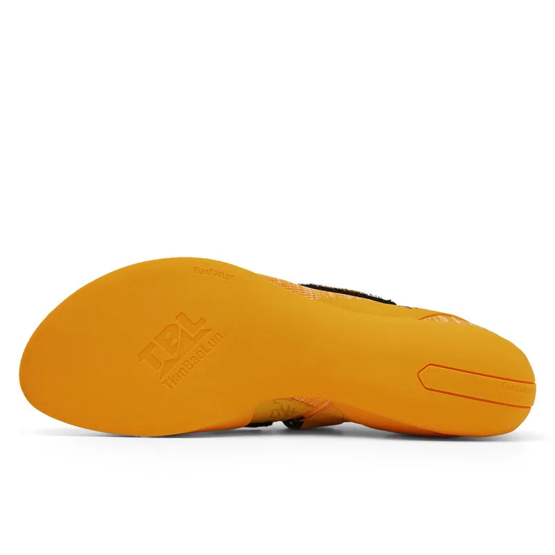 Sced5b796a01940ce97d59abcefddc780s
